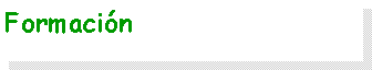 Cuadro de texto: Formaci�n               